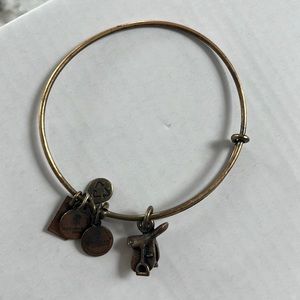 Alex and ani bracelet